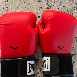 Everlast Prostyle Red and Black Boxing Gloves